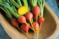 Touchstone_gold_beets