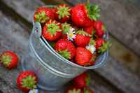 Strawberries_can_rf