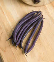 Beans_-_amethyst_purple_nrf_jny