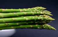 Asparagus_%22m.w.%22_rf