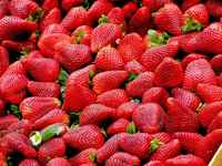 Strawberries-gcabf18409_1920